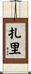 Zari Scroll