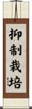 抑制栽培 Scroll