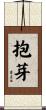抱芽 Scroll