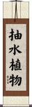 抽水植物 Scroll