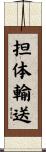 担体輸送 Scroll