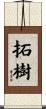 拓樹 Scroll