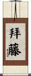 拜藤 Scroll