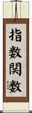 指数関数 Scroll
