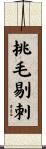 挑毛剔刺 Scroll