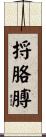 捋胳膊 Scroll