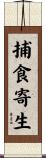 捕食寄生 Scroll