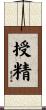 授精 Scroll