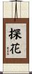 探花 Scroll