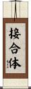 接合体 Scroll