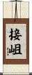 接岨 Scroll