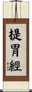 提胃經 Scroll