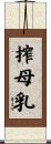 搾母乳 Scroll