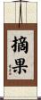 摘果 Scroll