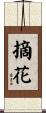摘花 Scroll