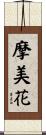 摩美花 Scroll