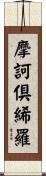 摩訶倶絺羅 Scroll