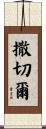撒切爾 Scroll