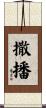 撒播 Scroll