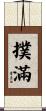 撲滿 Scroll