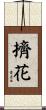 擠花 Scroll
