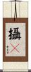 攝嚩 Scroll