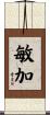 敏加 Scroll