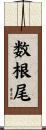 数根尾 Scroll