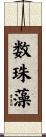 数珠藻 Scroll