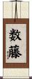 数藤 Scroll