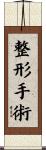 整形手術 Scroll