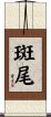 斑尾 Scroll