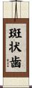 斑状歯 Scroll