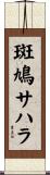 斑鳩サハラ Scroll