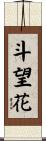 斗望花 Scroll