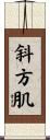 斜方肌 Scroll