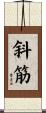 斜筋 Scroll