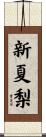 新夏梨 Scroll