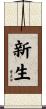 New Life Scroll