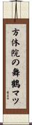 方休院の舞鶴マツ Scroll