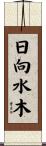 日向水木 Scroll