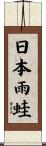 日本雨蛙 Scroll