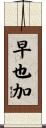 早也加 Scroll