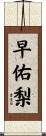 早佑梨 Scroll