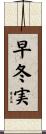 早冬実 Scroll