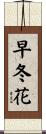 早冬花 Scroll