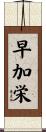 早加栄 Scroll
