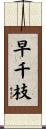 早千枝 Scroll