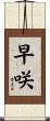 早咲 Scroll