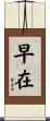 早在 Scroll